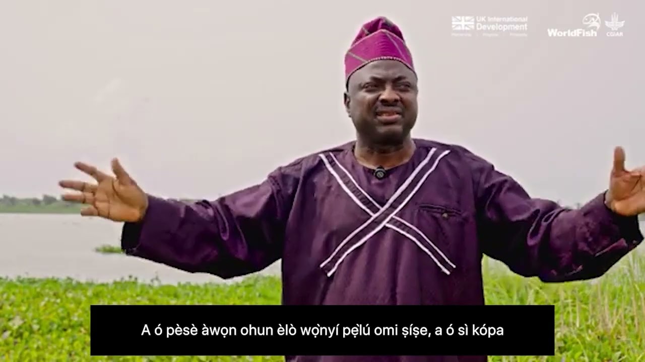 Improving diversity and prosperity in Nigeria’s fisheries and aquaculture | AABS [Yoruba Sub]