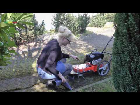 Emily hat nachgefragt - Sendung 21