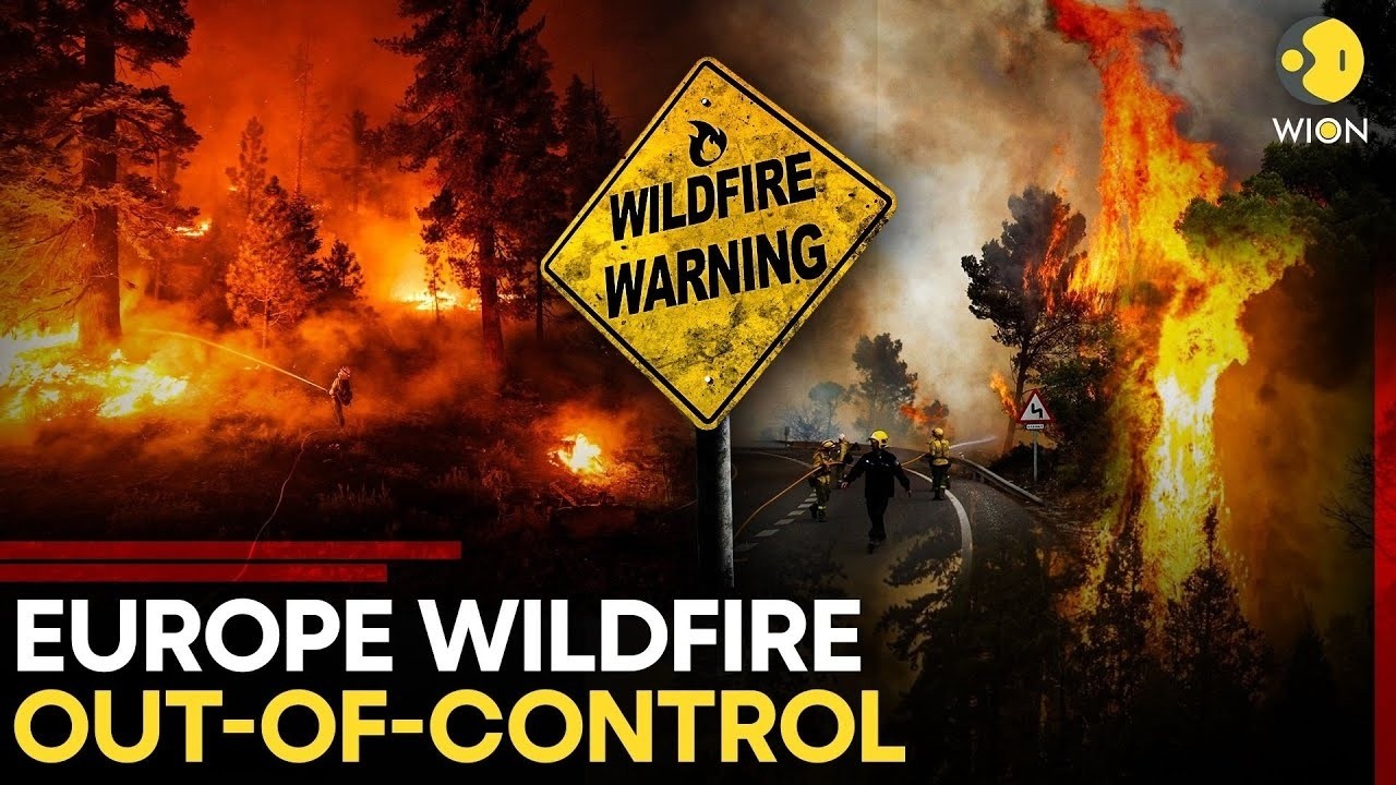 LIVE: Europe Engulfed By DEADLY Wildfires | 300,000 Evacuated Across Spain & France | WION