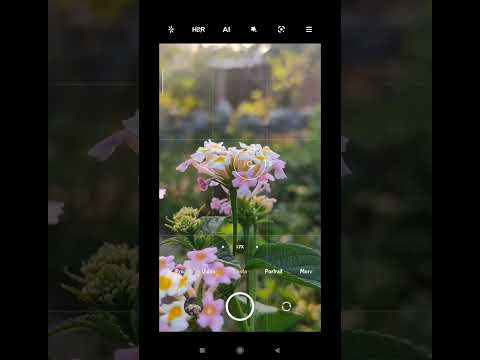 Mobile Photography / Flower photography / Nature Photography #abhayclick