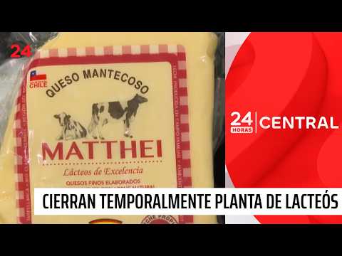Alerta sanitaria en Bío-Bío: Prohíben funcionamiento a fábrica de lácteos por quesos contaminados