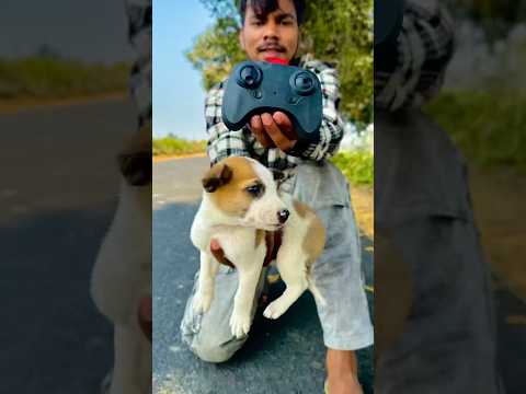 Remote control mini dog 🐶 unboxing ￼￼