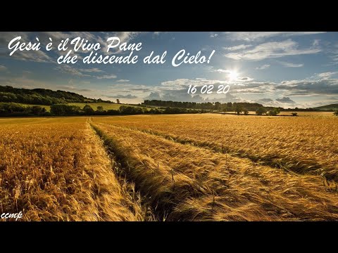 Gesù è il Vivo Pane che discende dal Cielo! | CCMP | 16-02-2020