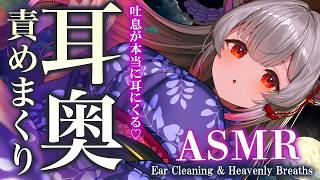 【ASMR/2時間】耳奥をじっくり耳責め！本当に耳にあたる吐息で脳とろ睡眠誘導。両耳吐息・オノマトペ・耳かき・囁きDeep Sleep Ear Cleaning & Tingles【周防パトラ】