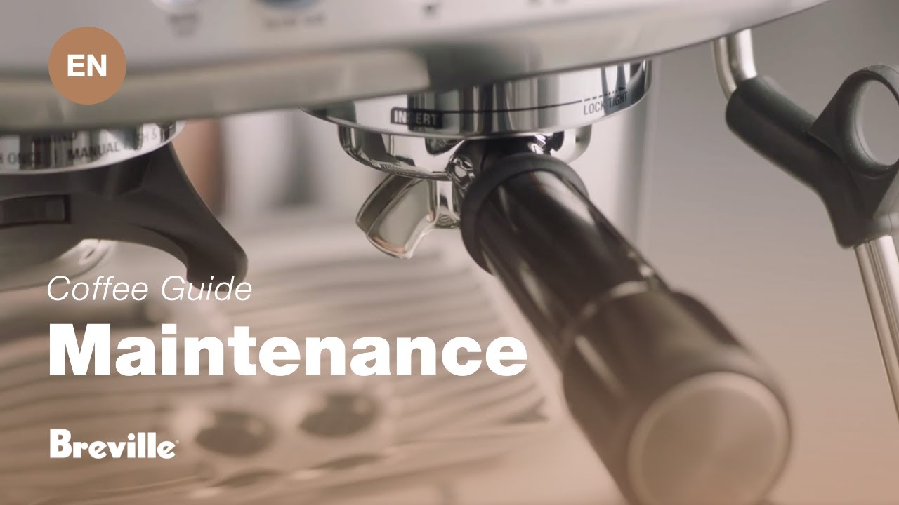 How to perform a cleaning cycle