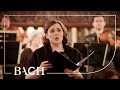 Bach Cantata Christ Lag In Todesbanden BWV 4 Jacobs Netherlands Bach Society