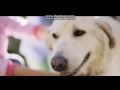 Chuck E Cheese S Ad Fun Together 2 2013