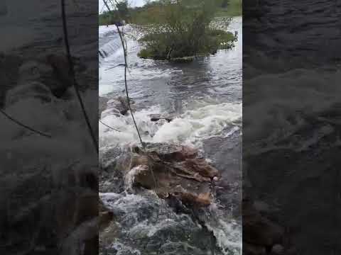 Rio Piranhas com muita água da Transposição do São Francisco RN