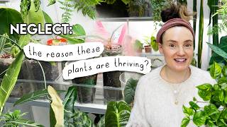 The REAL Reason These Plants Are Flourishing 🌿