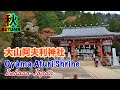 紅葉スポット 大山阿夫利神社 伊勢原市神奈川 秋 oyama afuri shrine isehara kanagawa japan autumn