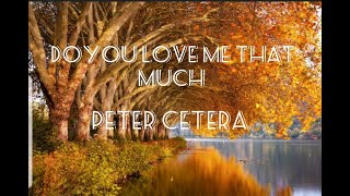 Do you love me that Much - Peter Cetera - Cover by Ordinary Voice - Lyrics