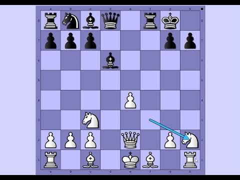 Važnost donošenja prave odluke u šahu ~  LOWENTHAL vs WENDEKER ~ From gambit # 1379