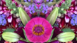 Walk Out in the Rain (by Eric Clapton live in Belfast, No.  Ireland  in 2004)