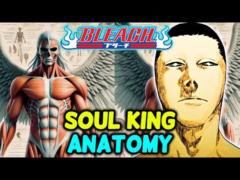 Soul King Anatomy - The Extremely Overpowered Character That Created The Universe of Bleach