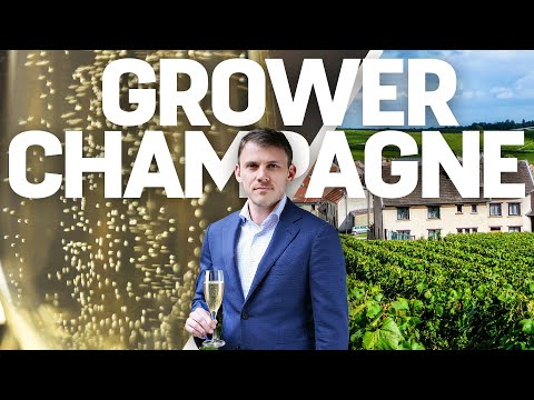 5 Champagne Producers To Know - Master of Wine Recommendations
