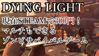 【広告オフ】Dying Light STEAM版がセールで300円なので買ってみた【ダイイングライト】No.2533