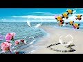 Good Morning Video