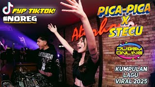 Download lagu DJ MAGONU PICA-PICA X STECU BREAKBEAT TERENAK YANG LAGI VIRAL 2025 mp3