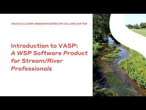 Introduction to VASP: A WSP Software Product For Stream River Professionals
