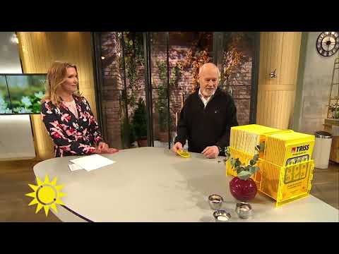 Trissvinnaren: "Nu blir det att gå hem och tänka till"  - Nyhetsmorgon (TV4)