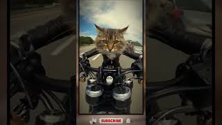 Download lagu ramingger tabrak 😎 || subscribe kak👍👍 mp3