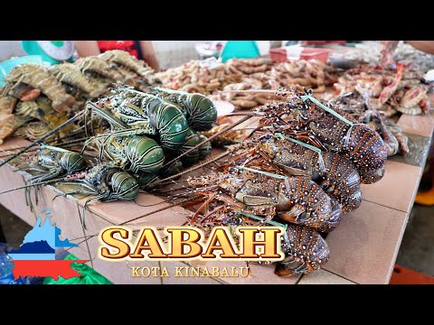 Exploring Sabah's Seafood Paradise: Lobster, Tiger Prawns & Crabs Galore! Malaysia Street Food
