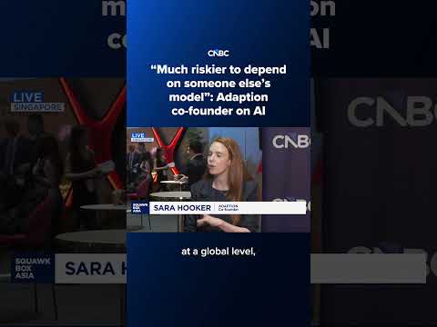 'Much riskier to depend on someone else's model': Adaption co-founder on AI