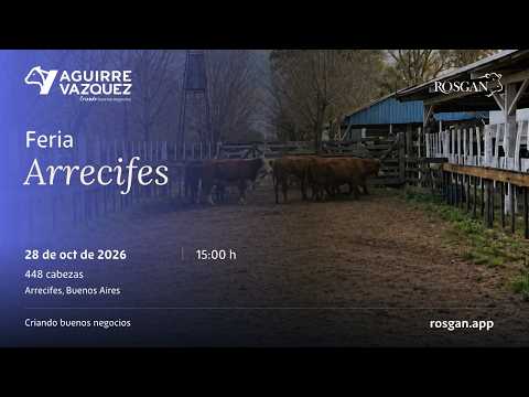 Feria Arrecifes | Arrecifes, Buenos Aires