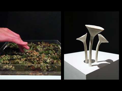 Enlichenment: Interactive Sound Sculpture by Anna Snyder