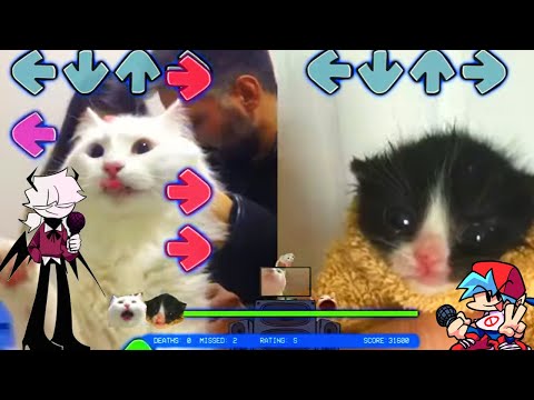 CASANOVA Selever BUT TURKISH CAT VS TOWEL KITTEN - Friday Night Funkin Animation  - Mid Fight Masses