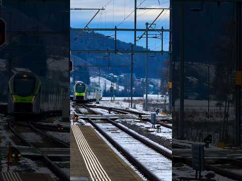 Switzerland’s Winter ❄️ #travel #switzerland #nature #photography #bern #winter #snowfall #beuty