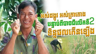 ការរៀបចំថែបំប៉ន ដំណាំស្រូវអោយបានល្អ តាំងពីដំបូង