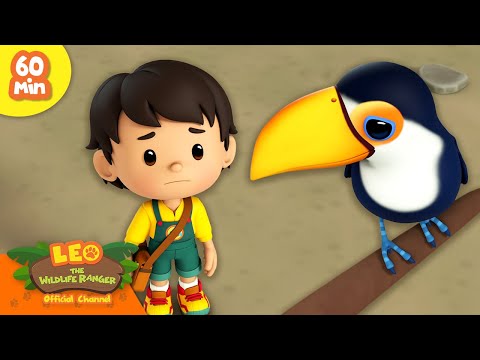 🏝️🌊 BEST TROPICAL ANIMALS! 🌺🍹 Toucans, Sloths & more! | Leo the Wildlife Ranger | Kids Cartoons
