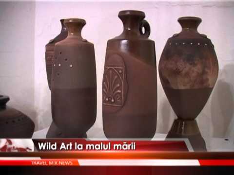 Wild Art la malul mării – VIDEO