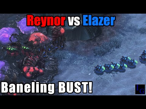 Is Elazer's Rush The BANE Of Reynor!? | StarCraft 2 SC2 Professional Game Pro ZvZ Match
