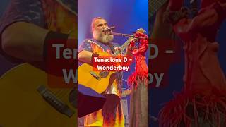 Tenacious D - Wonderboy
