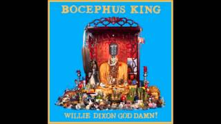 Bocephus King - Willie Dixon God Damn! (Full Album 2011)