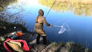 Ловля карася на фидер весной