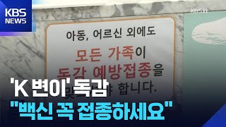 독감 유행 97%가 ‘K 변이’…질병청 “백신 유효, 접종이 최선” / KBS  2025.11.26.