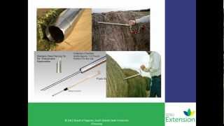 Forage Hay Sampling Method