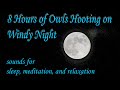 Peaceful Owls Hooting On A Windy Night 8 Hr Calming Nature Sounds