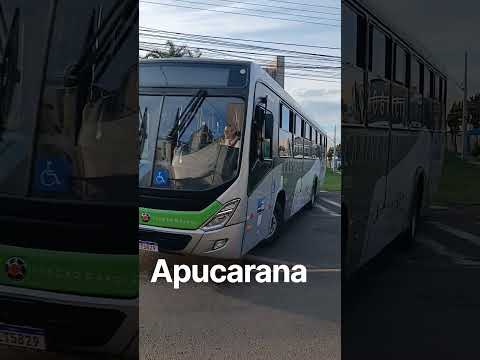 Apucarana Paraná