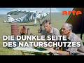 Grzimek Der Kampf Um Die Serengeti Doku HD ARTE