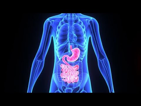 Ayurvedisk behandling 40 - Immunitet 8 - Fordøyelse