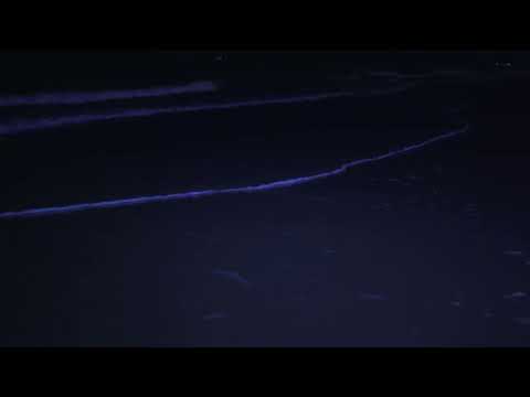 Fall Asleep On A Full Moon Night With Calming Wave Sounds - 9 Hours of Deep Sleeping on Mareta Beach