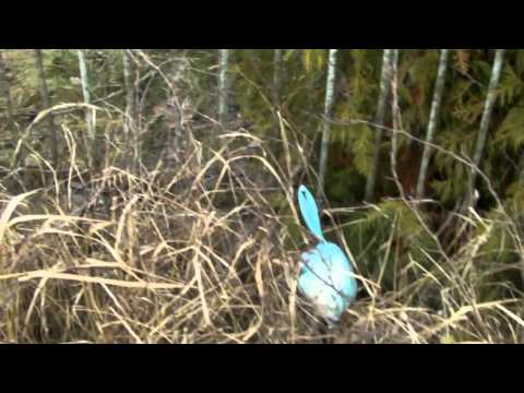 Piękna, upragniona wiosna!