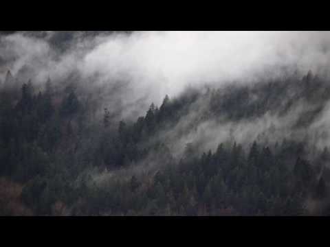 Luca Fogale - Bluebird