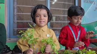 Kotak Salesian School Video