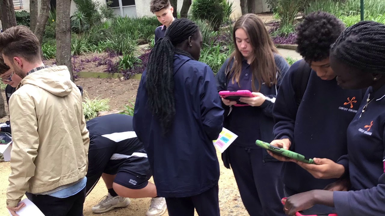 Shalvey is - Fapiloa