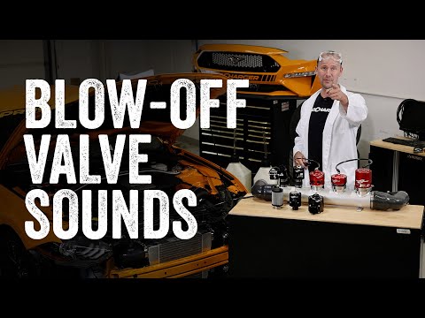 What does a BLOW-OFF valve sound like? What does FIVE blow-off valves sound like??